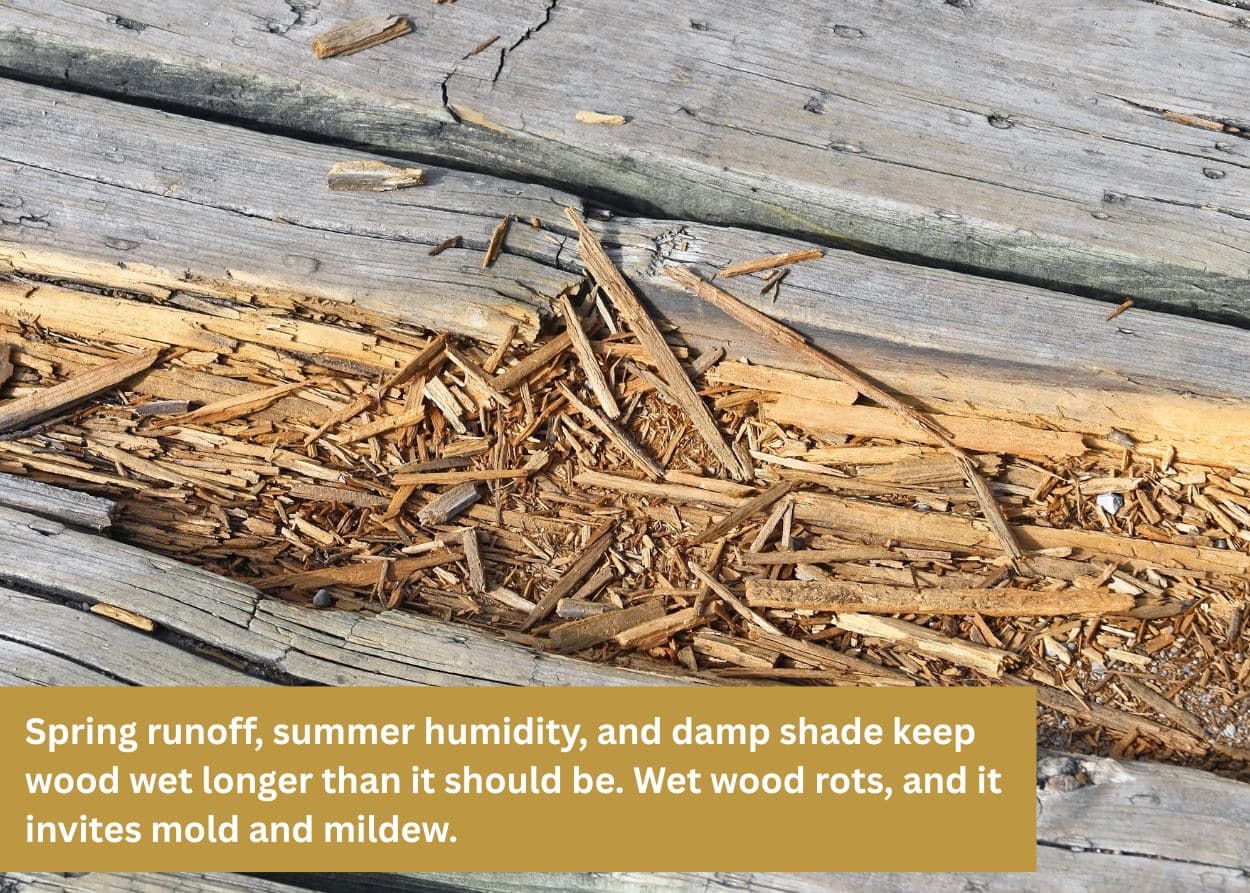 Rotting pressure-treated wood deck boards damaged by moisture, decay, and freeze-thaw cycles in New York's climate